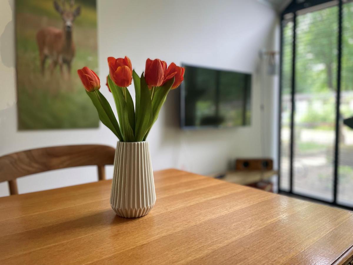 Cosy Tiny Lodges - Vakantiepark Kempenbos Diessen Eksteriør bilde